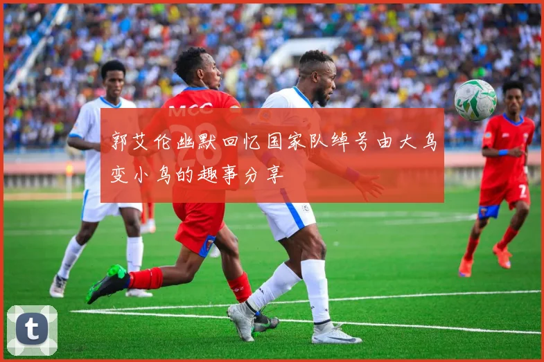 郭艾伦幽默回忆国家队绰号由大鸟变小鸟的趣事分享